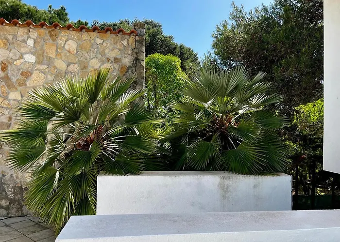 Dream Vakantiehuis *